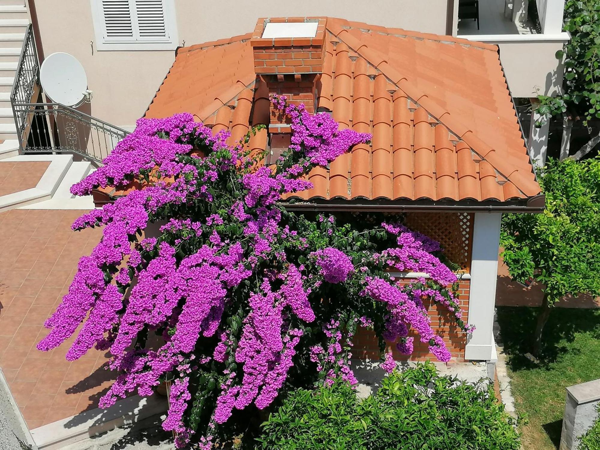 Green Park Apartments 2 Dubrovnik Eksteriør bilde